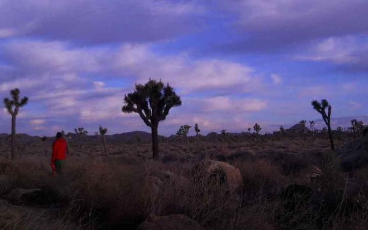backpacking trip in joshua tree